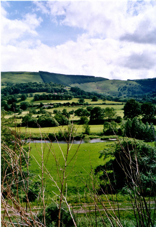 Grünes Wales