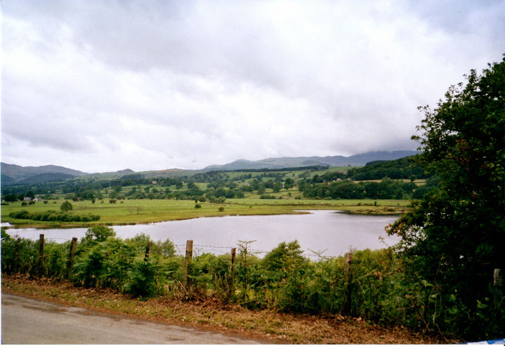 Bala See