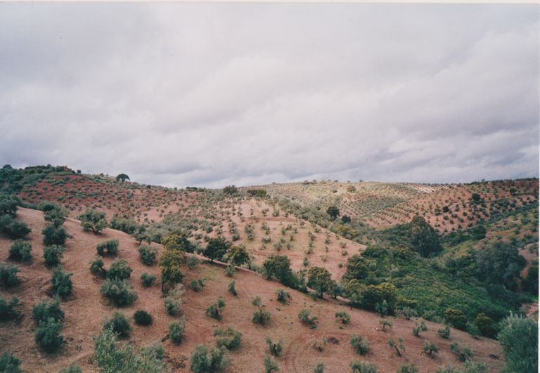 Wellige Landschaft