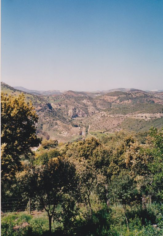 Bergwelt
