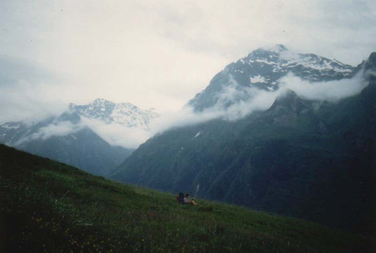 Panorama